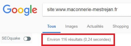 pages indexées dans Google one page