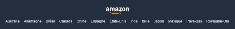 Organización por Amazon Marketplace